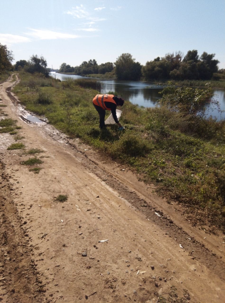 День чистих берегів у Кілії: комунальники провели масштабне прибирання територій