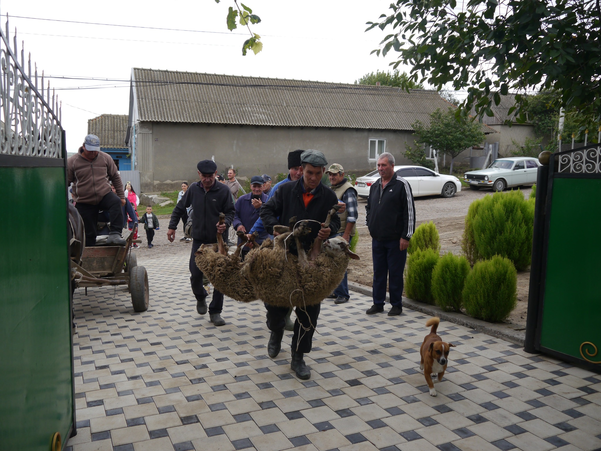 Обряд із села Болградського району покажуть у відомій українській телепрограмі