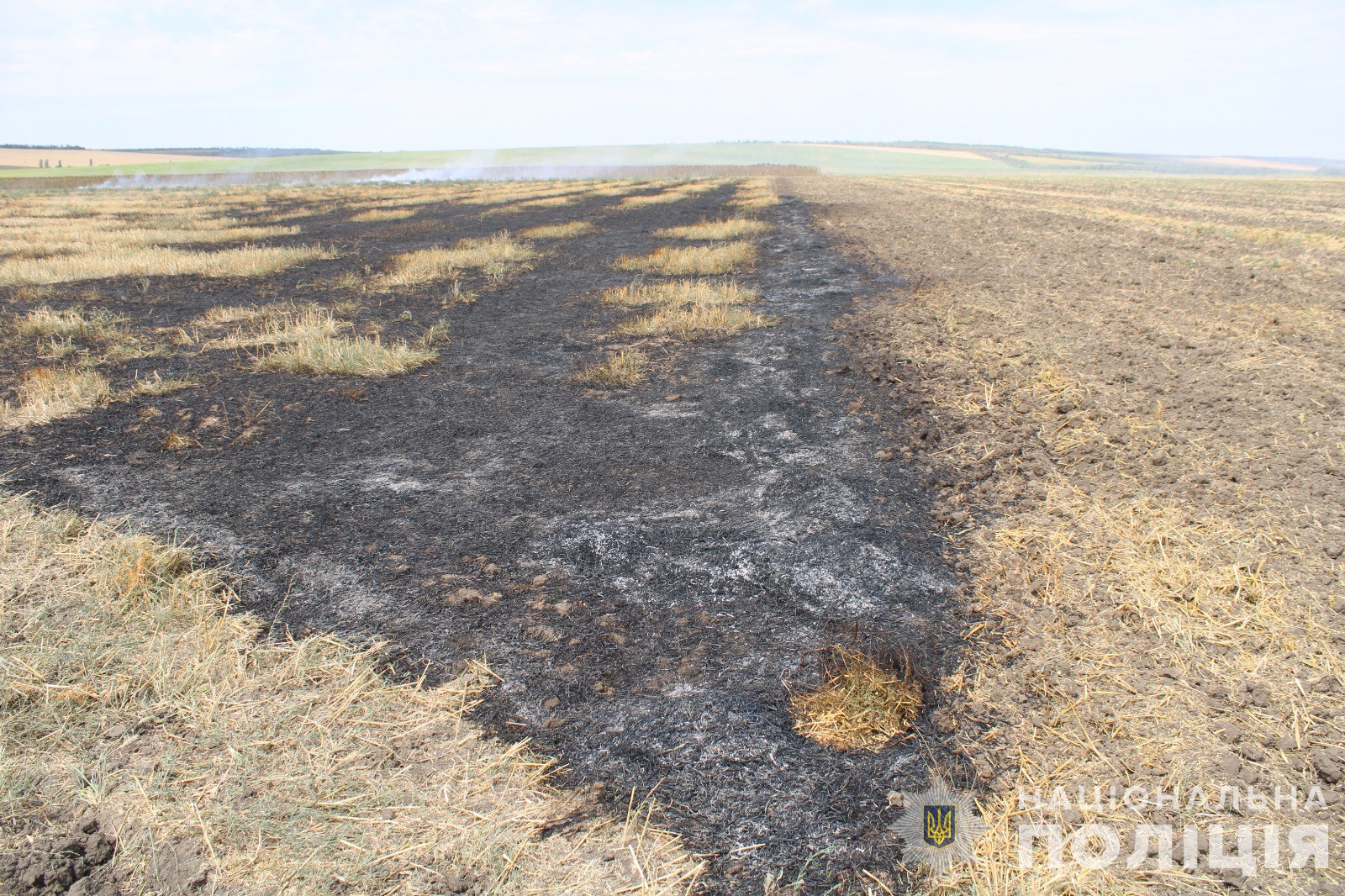 Троє паліїв з Бессарабії за знищення вогнем полів постануть перед судом