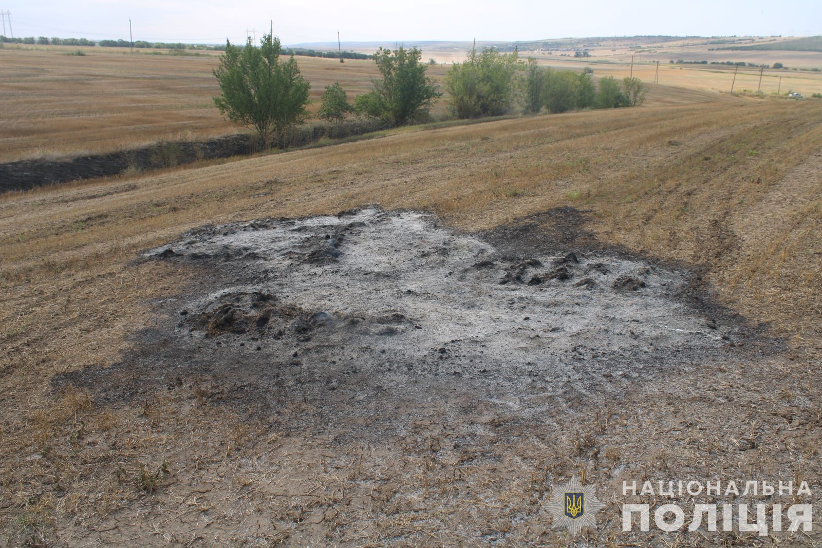 Троє паліїв з Бессарабії за знищення вогнем полів постануть перед судом