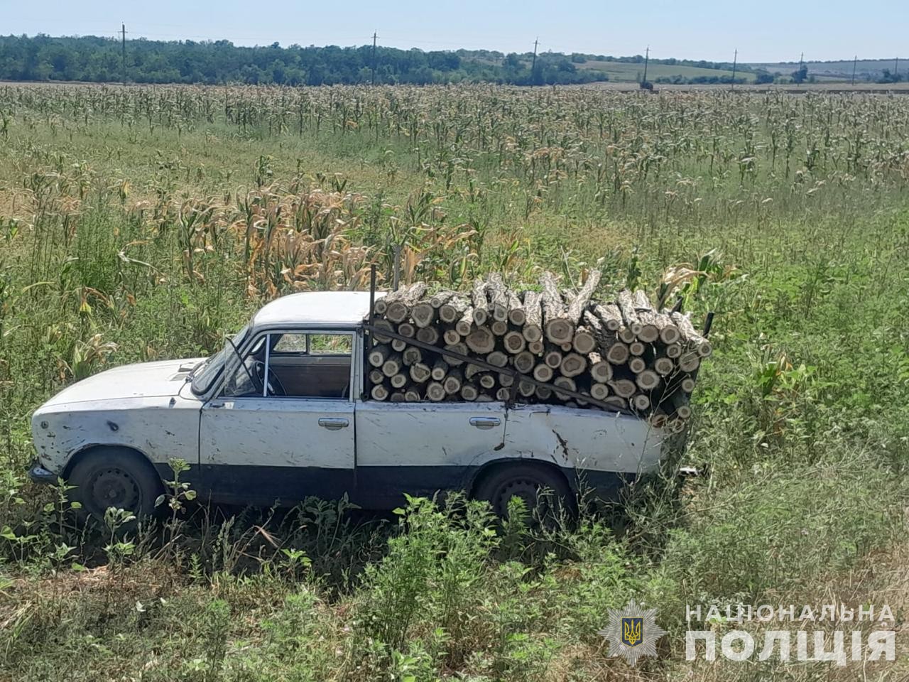 Топ 5 Пикапов для Аренды в Баку