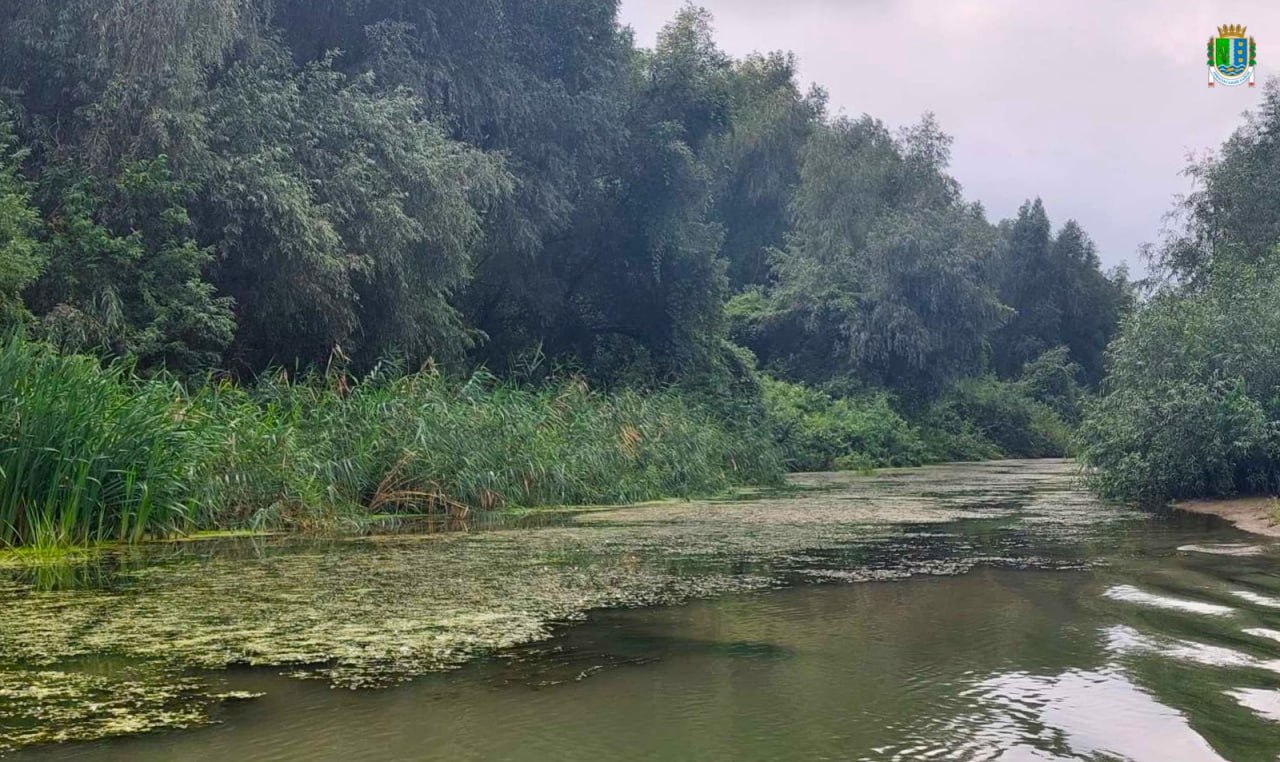 На Ізмаїльщині намагаються терміново відновити повноводність Кислицького рукава Дунаю