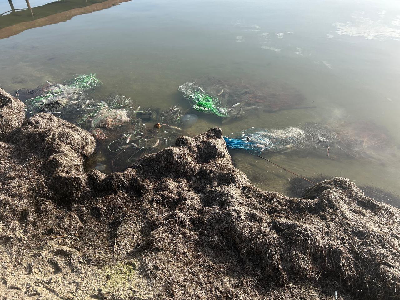 На водоймах Бессарабії за один день затримали декілька браконьєрів