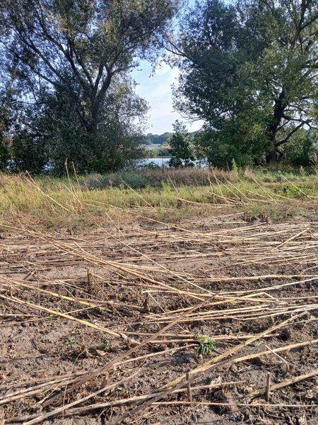 На Одещині розорюють прибережну смугу річки