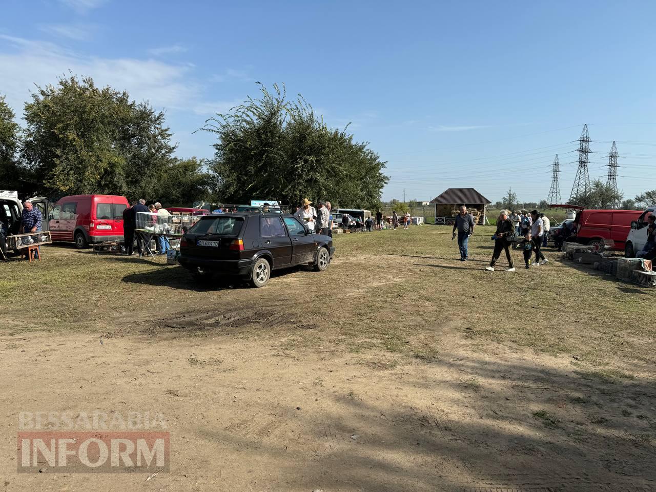 В Арцизі пройшла виставка-ярмарка домашніх тварин