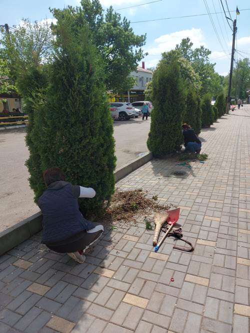 "Кожне дерево - це повернення людей": головна садівниця Болграду проміняла прибуткову професію на ідею - інтерв'ю