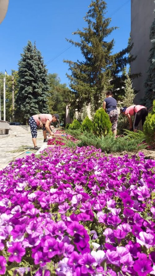 "Кожне дерево - це повернення людей": головна садівниця Болграду проміняла прибуткову професію на ідею - інтерв'ю