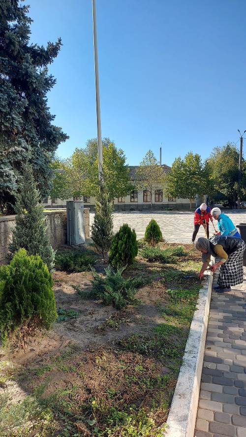 "Кожне дерево - це повернення людей": головна садівниця Болграду проміняла прибуткову професію на ідею - інтерв'ю