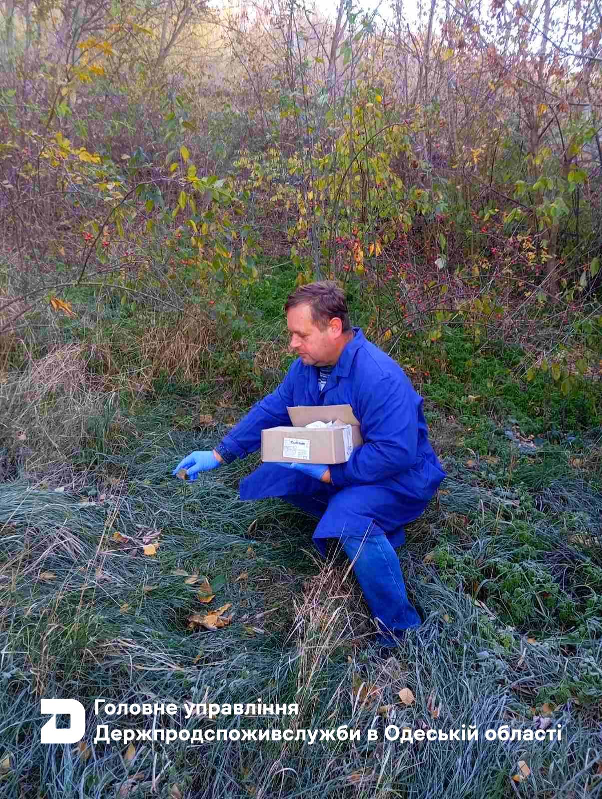 Білгород-Дністровщина одна з перших в області почала кампанію з імунізації диких тварин проти сказу