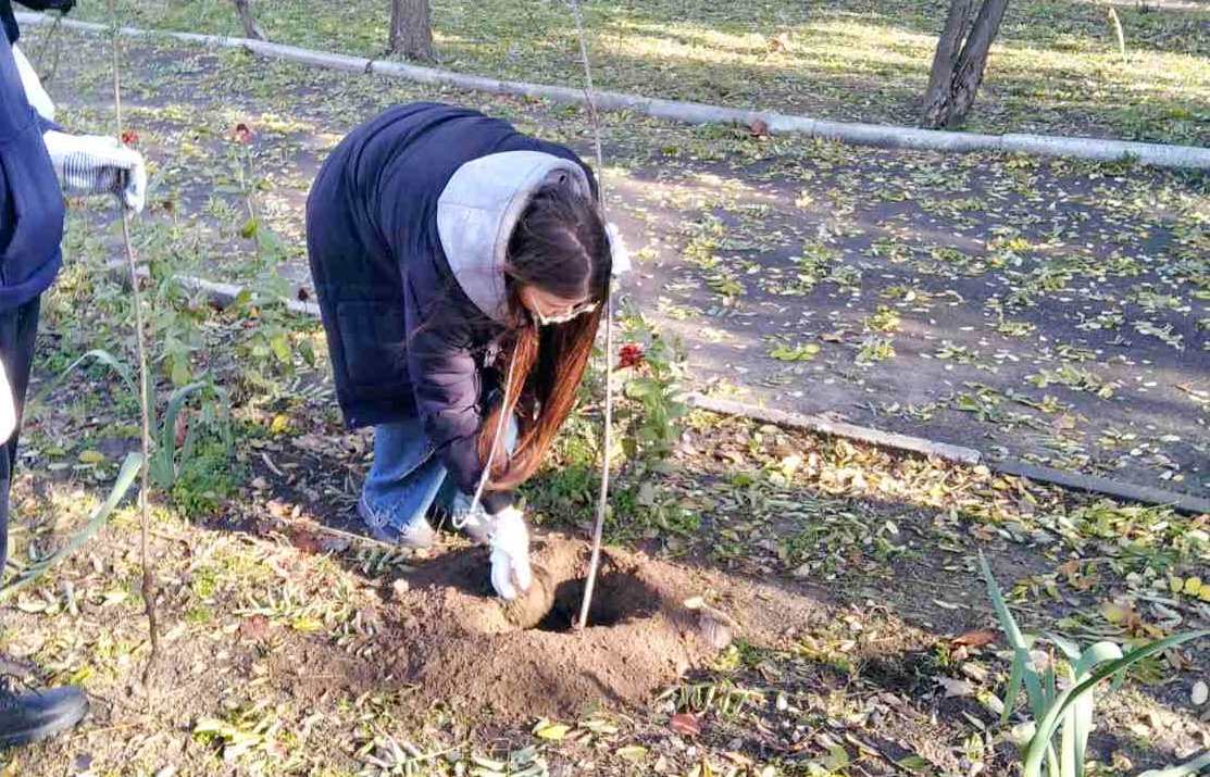 В Кілії відбувся кількаденний "марафон благоустрою" у міському парку