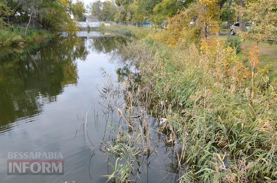 В Кілії відбувся кількаденний "марафон благоустрою" у міському парку