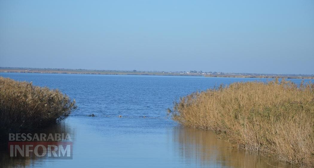 Останній шанс для «степового моря»: як на півдні Одещини планують повернути до життя п’яте за розміром озеро України