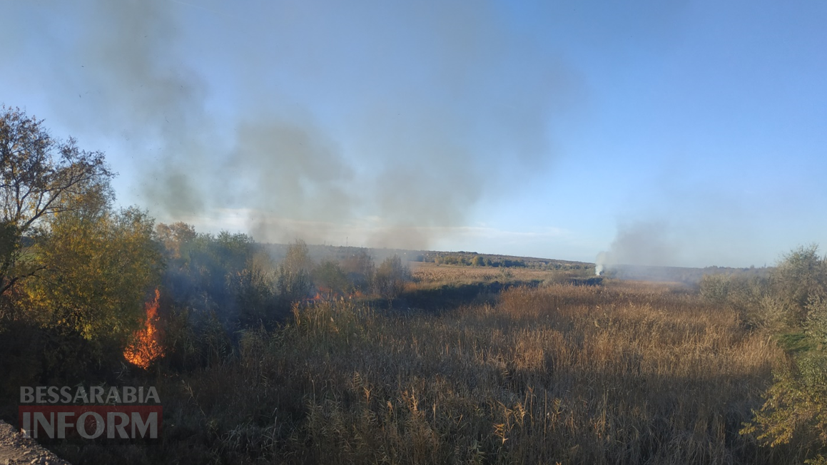 Бессарабська осінь крізь спиці велосипедних коліс: легка прогулянка до ренійського гаю з осадом важких вражень