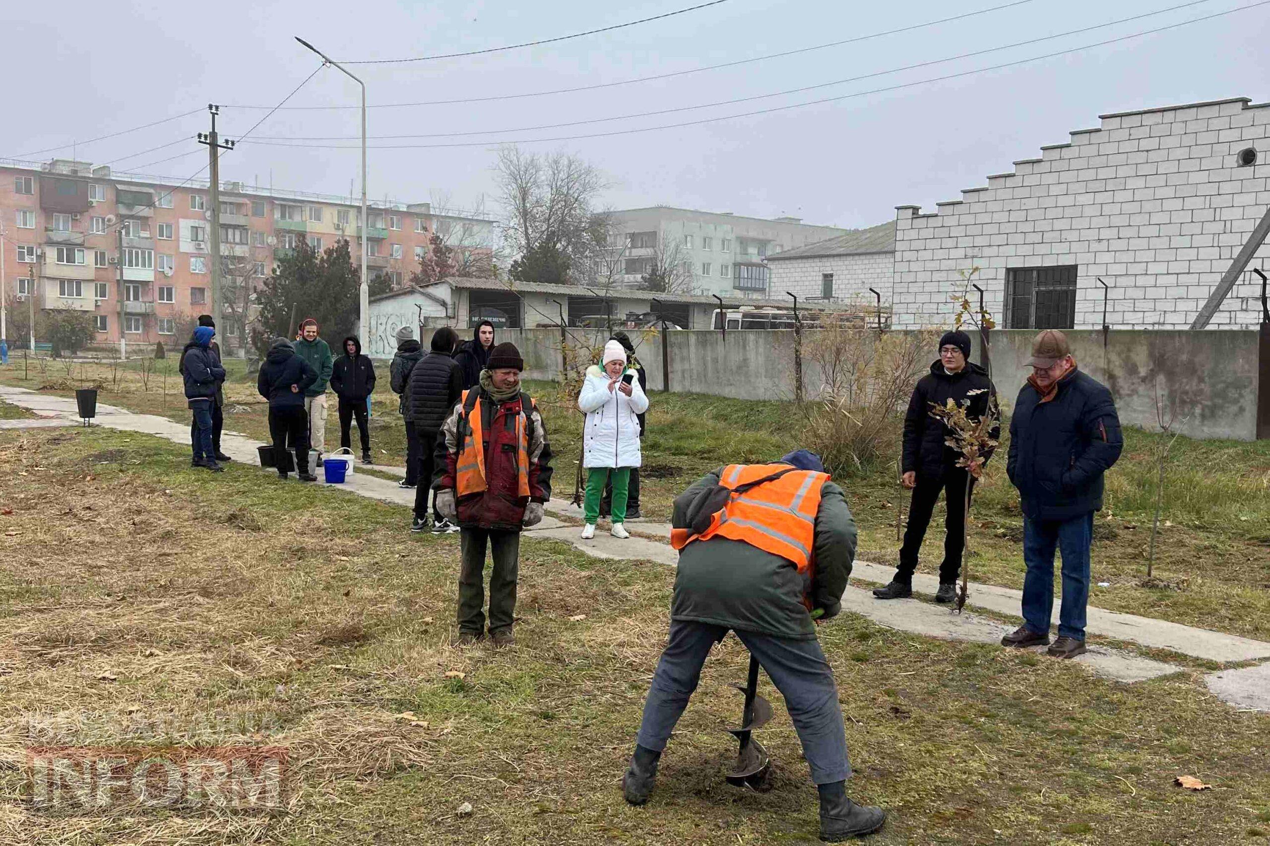 Алея пам'яті директорки коледжу та засадження пустирів: в Кілії триває масштабна висадка дерев