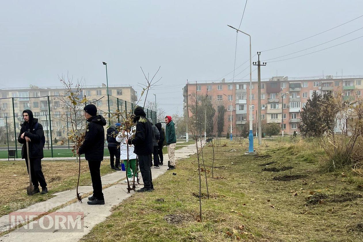 Алея пам'яті директорки коледжу та засадження пустирів: в Кілії триває масштабна висадка дерев