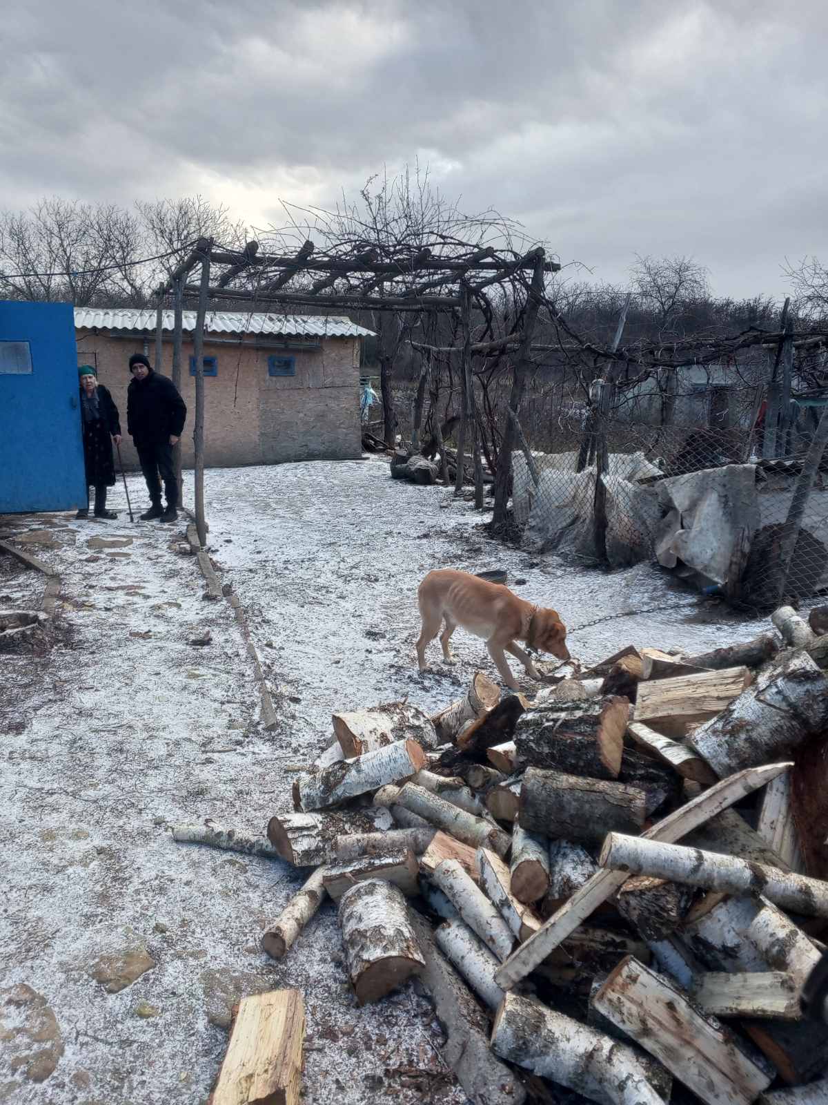 У Тарутинській громаді родини загиблих воїнів забезпечили дровами