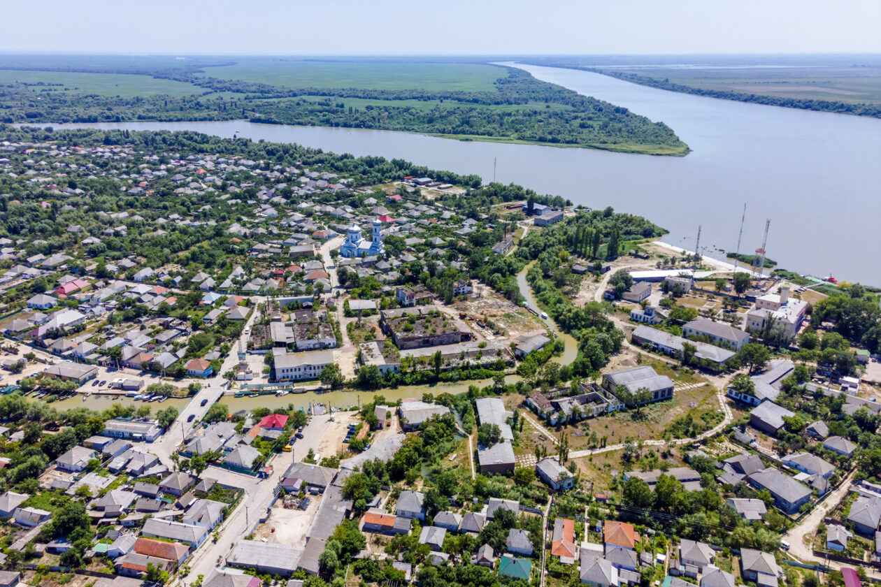 У Вилковому дикі олені загрожували городам містян: як вирішили проблему