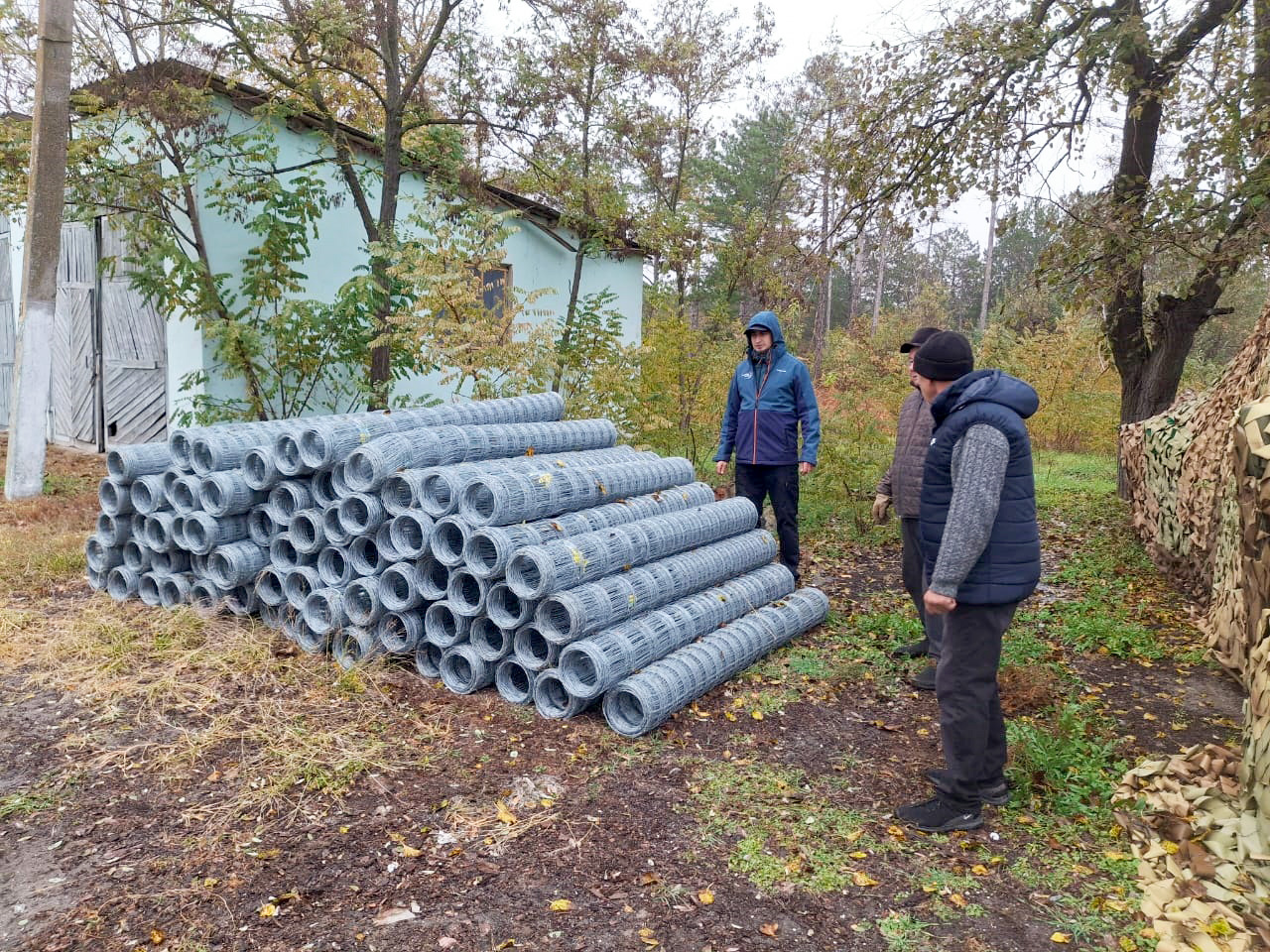 У Вилковому дикі олені загрожували городам містян: як вирішили проблему