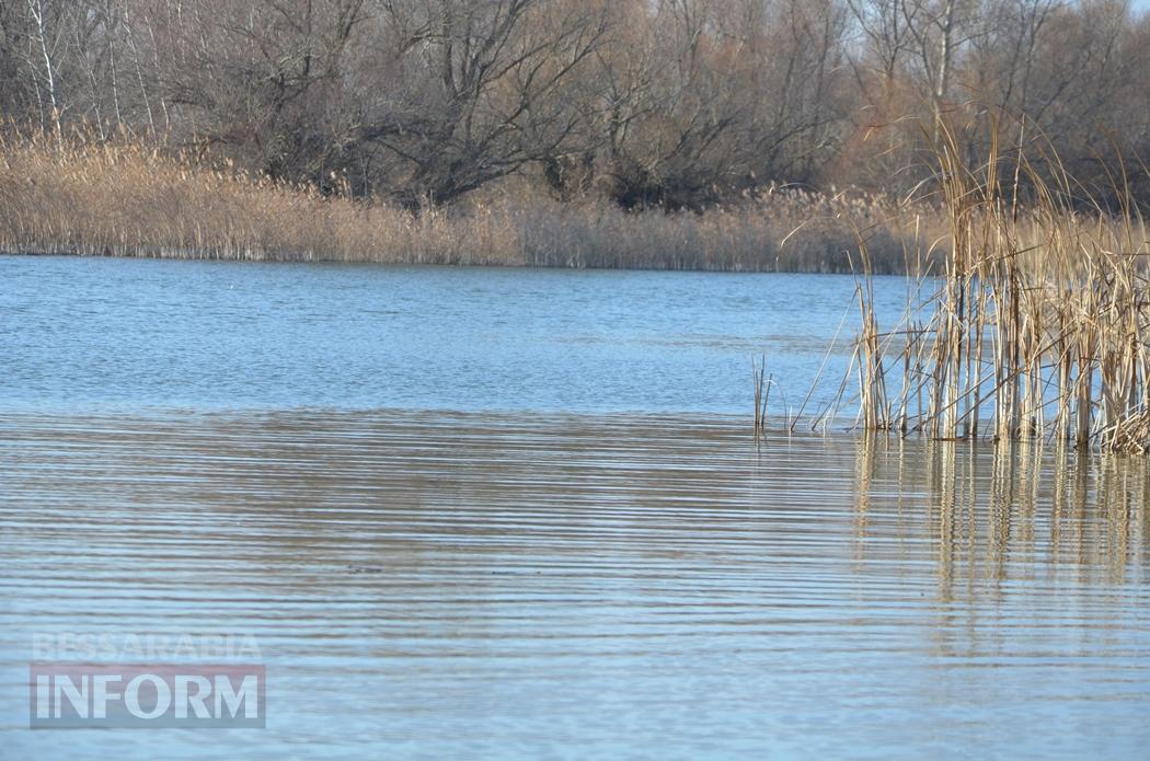 Мешканці Кілії занурилися у майже крижані "хрещенські води" (фото, відео)