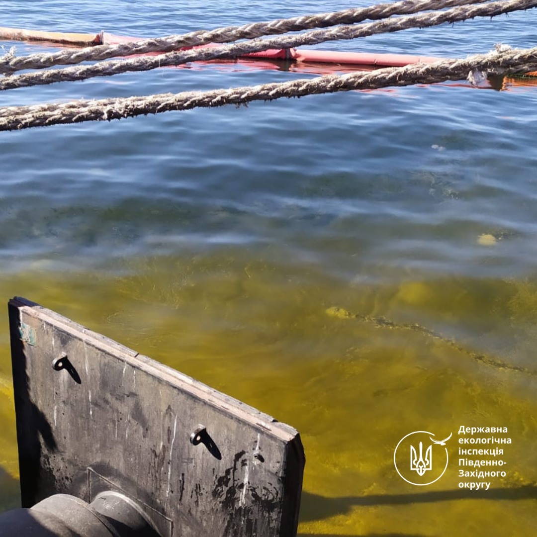 Тонни олії, які опинилися у водах Сухого лиману, завдали Одещині збитків на мільярди