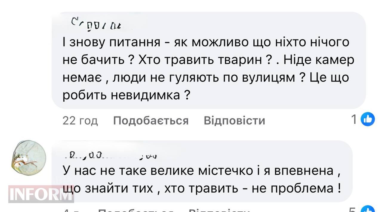 Масові вбивства безпритульних тварин в Арцизі підіймають хвилю народних обурень. Стали відомі шокуючі факти