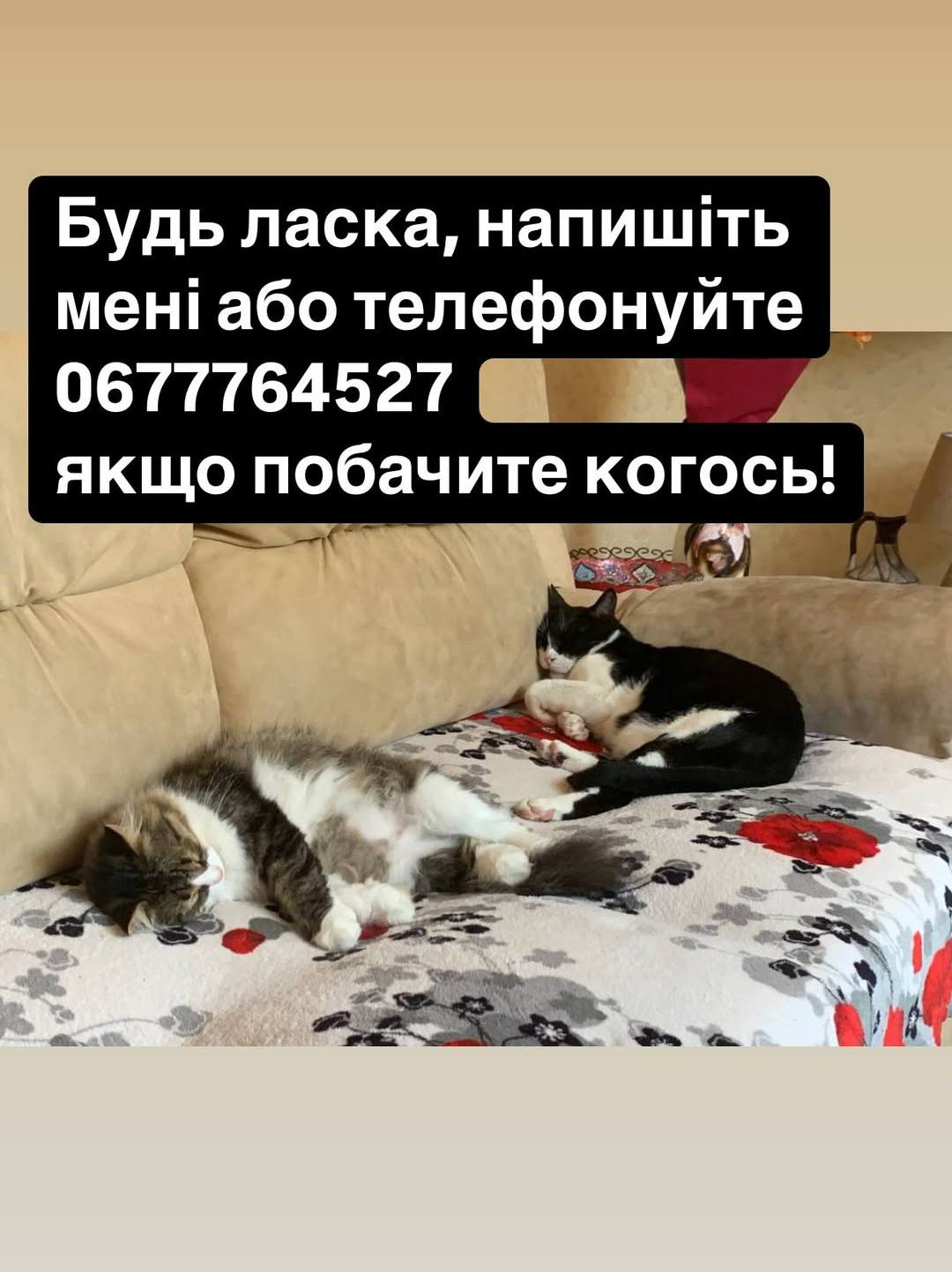 Через ворожу атаку директор Одеського зоопарку залишився без дому та домашніх улюбленців