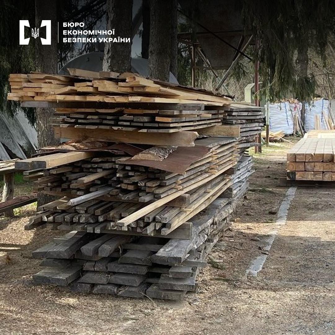 На Одещині викрили підприємця, який незаконно експортував хвойні дерева до ЄС
