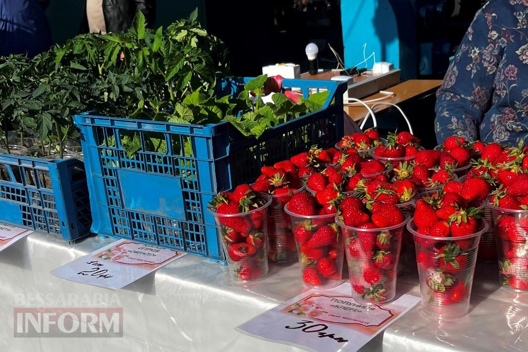 Головний приз - мангал: на ринку в Кілії пройшов благодійний ярмарок-лотерея виробів студентів Кілійського професійного ліцею