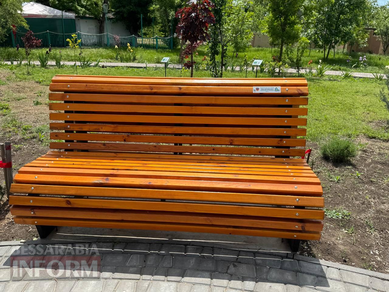 Парк із мрії: як у Арцизі хащі перетворилися на зелену перлину