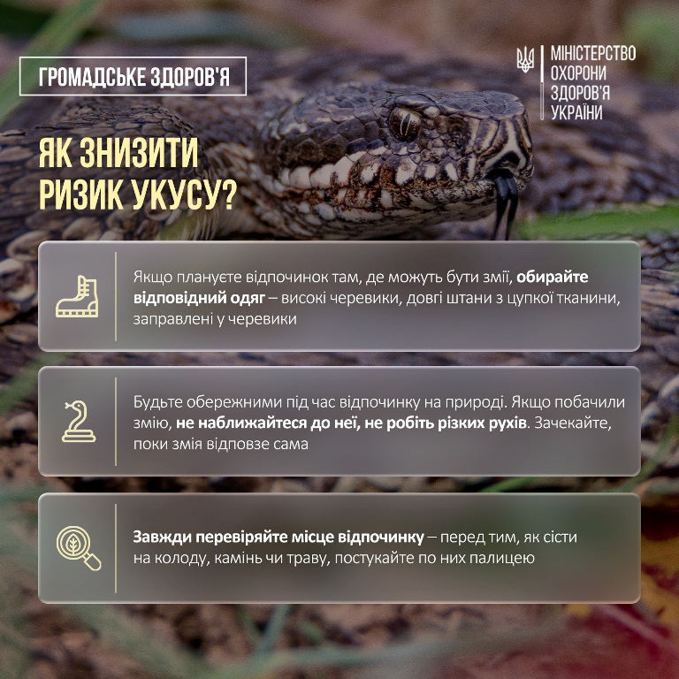 Обережно - змії: як вберегтися від укусу та що робити в разі небезпеки