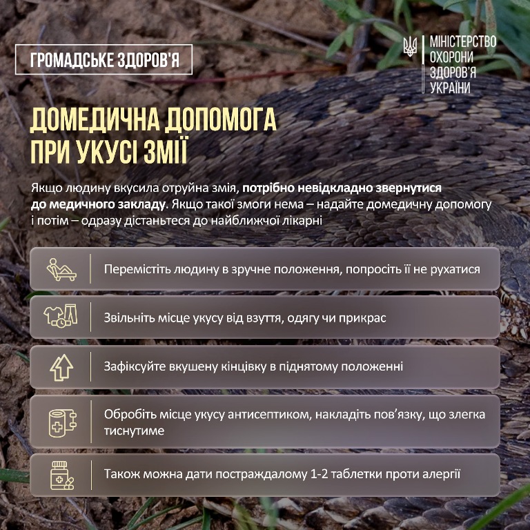 Обережно - змії: як вберегтися від укусу та що робити в разі небезпеки