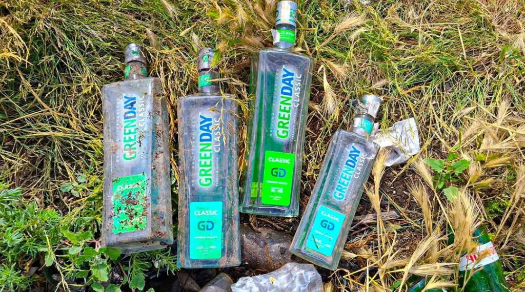 Фламінго залишили місце гніздування через «greenday» місцевих - що з цим робитимуть екологи
