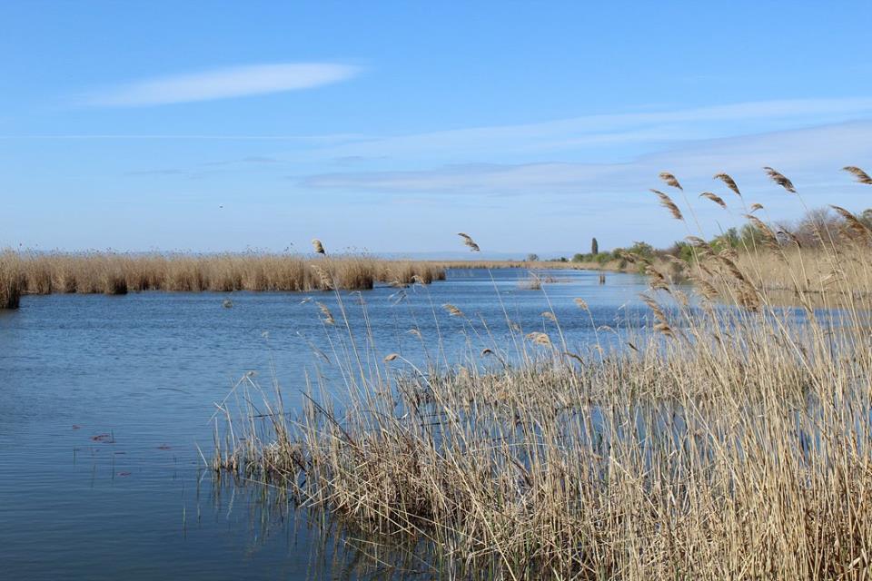 Деградація дамб у Бессарабії загрожує водній безпеці регіону