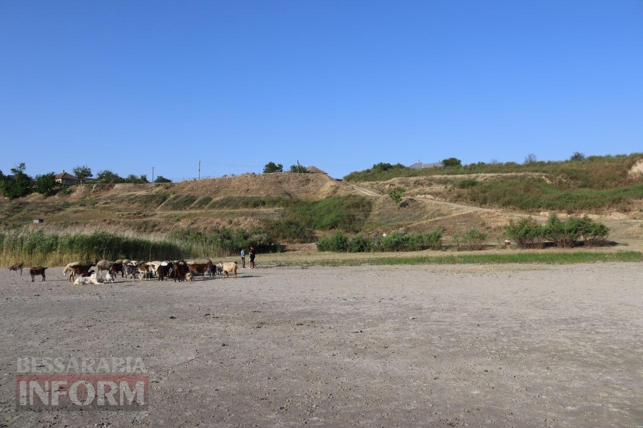 Відлік йде на дні: на Ізмаїльщині озеро Катлабух знаходиться на межі зникнення