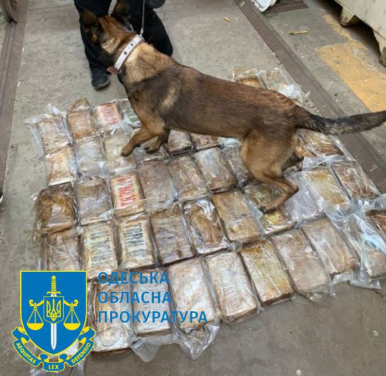 На Одещині засудили учасників міжнародного злочинного угрупування, що організували контрабанду кокаїну з Еквадору
