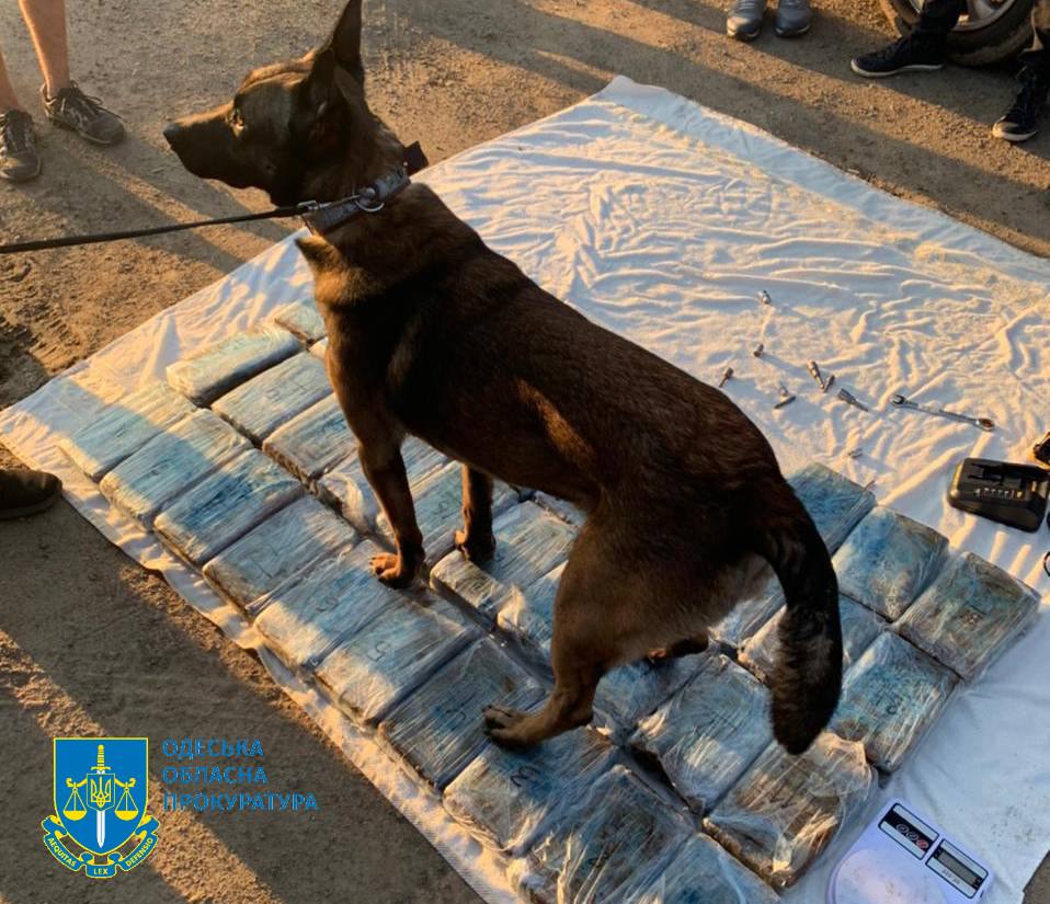 На Одещині засудили учасників міжнародного злочинного угрупування, що організували контрабанду кокаїну з Еквадору