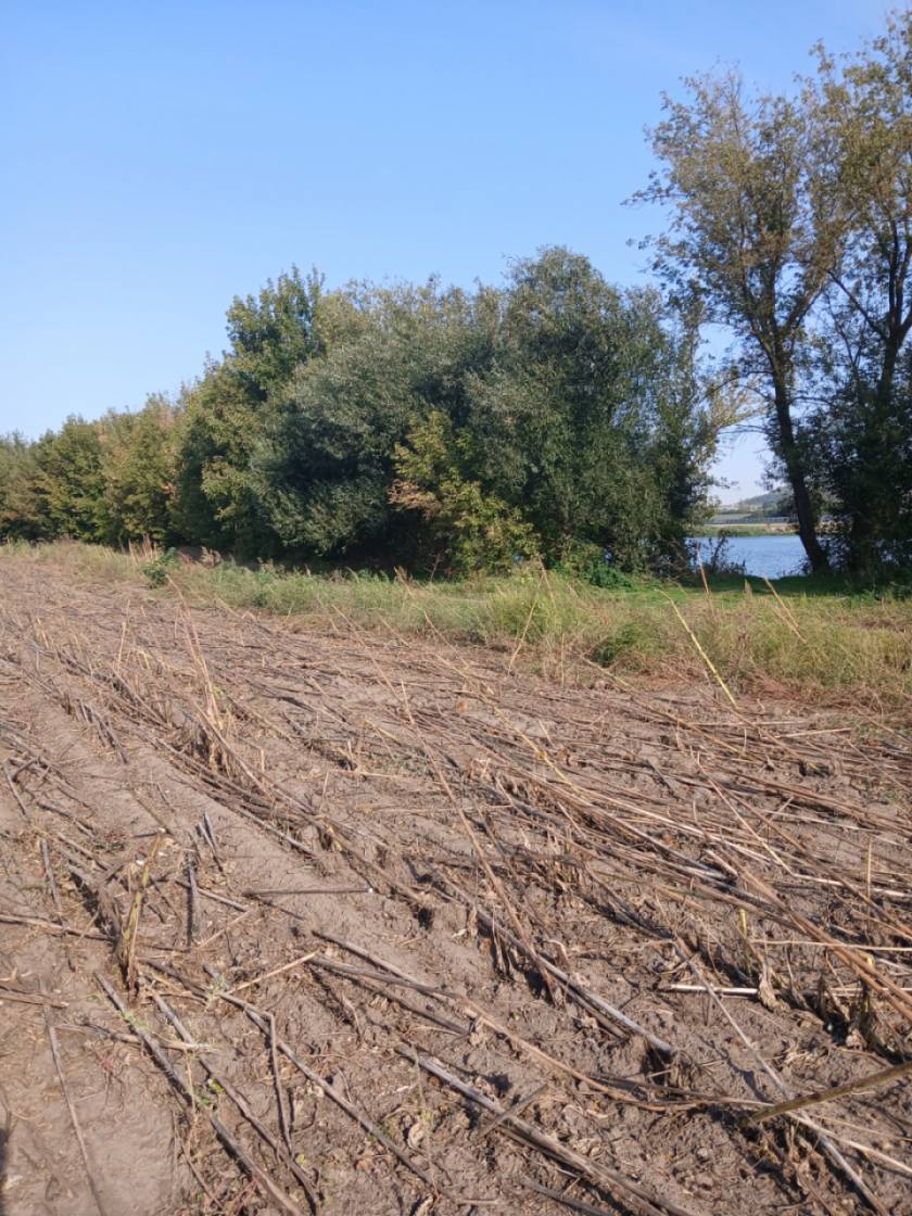 На Одещині через самовільне заняття ділянки біля річки завдано чималої шкоди державі
