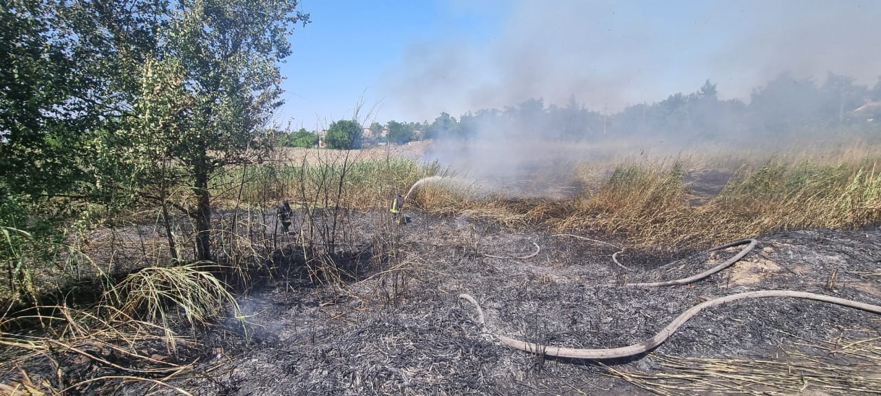 В Ізмаїлі горить величезна територія біля порту: дим бачать по всьому місту