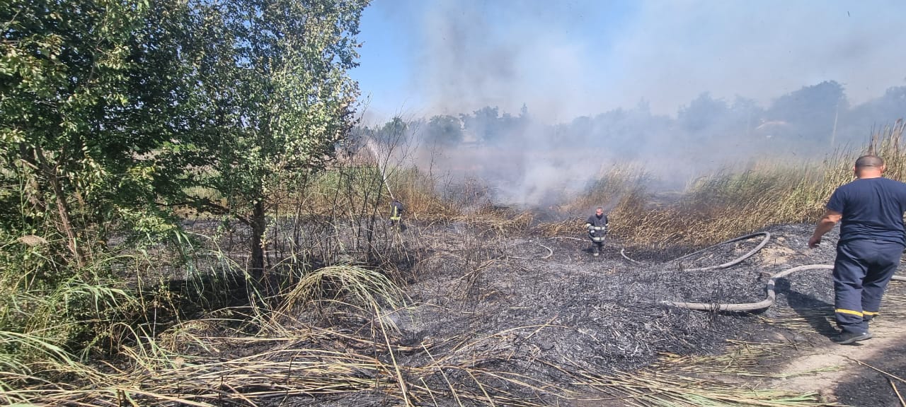 В Ізмаїлі горить величезна територія біля порту: дим бачать по всьому місту