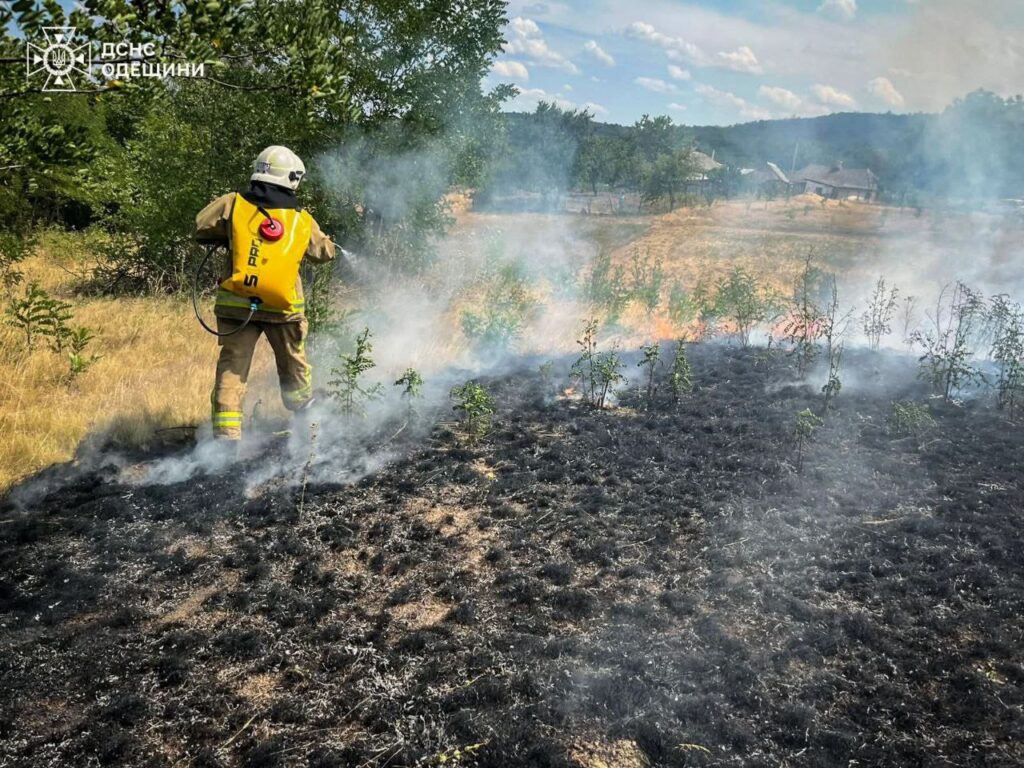 Не спалюйте країну: нескінченні пожежі в Одеській області завдають мільярдні збитки екології