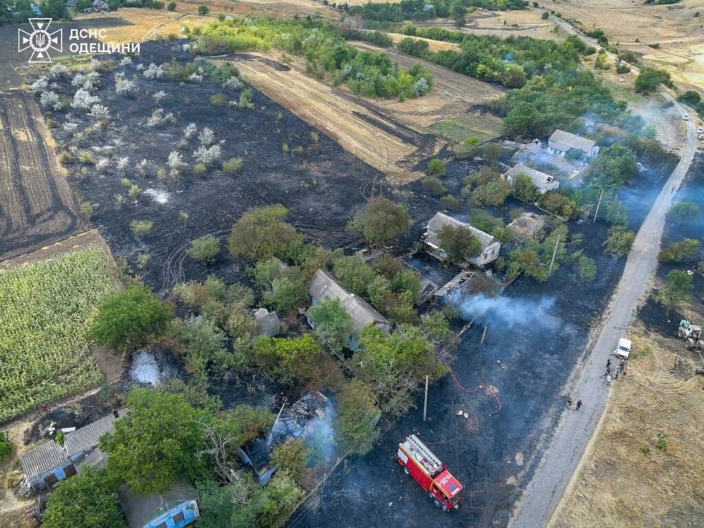 Не спалюйте країну: нескінченні пожежі в Одеській області завдають мільярдні збитки екології