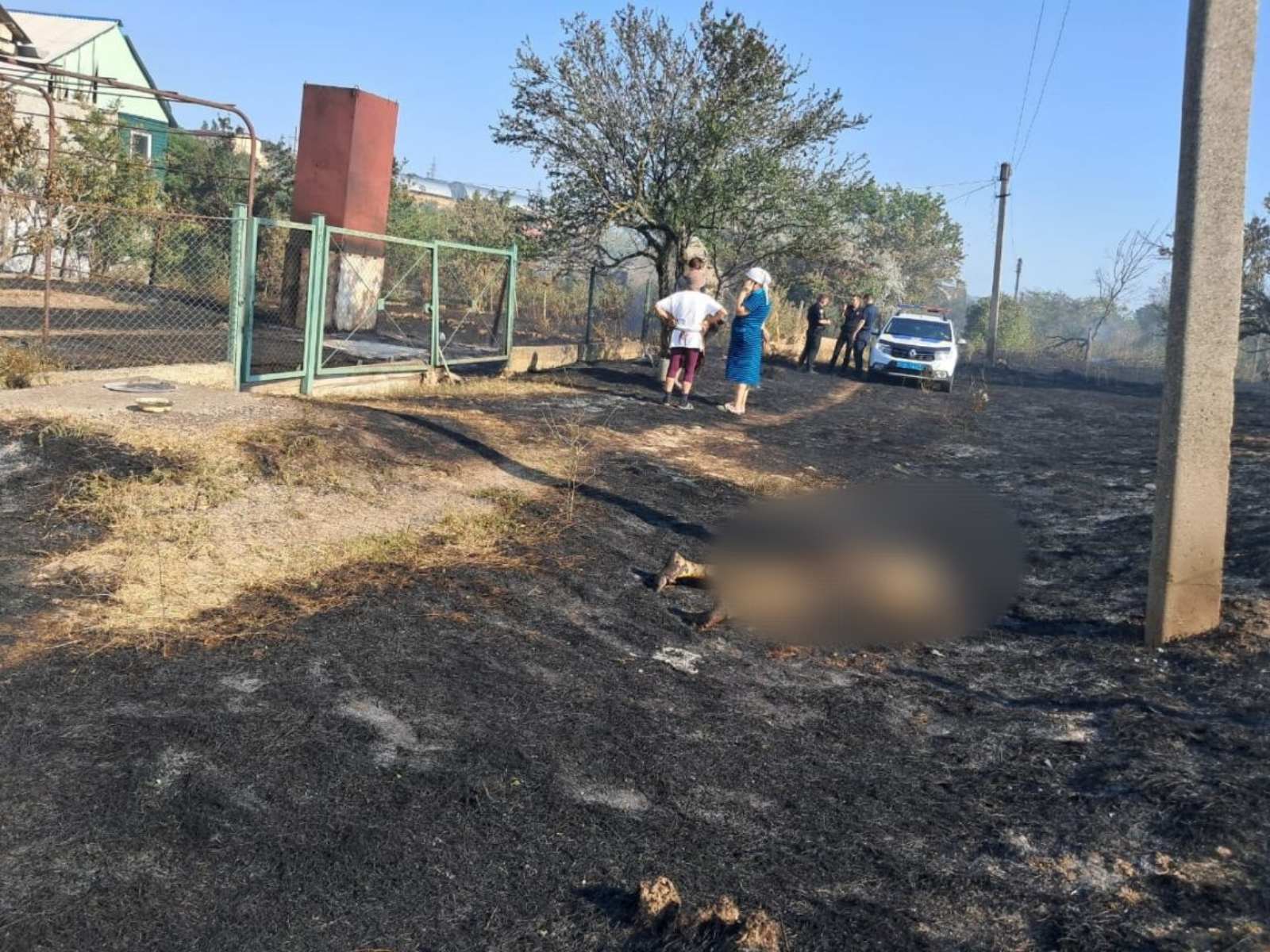 Випалювання сухої трави в Ізмаїльському районі призвело до загибелі жінки - підозрюваного затримано