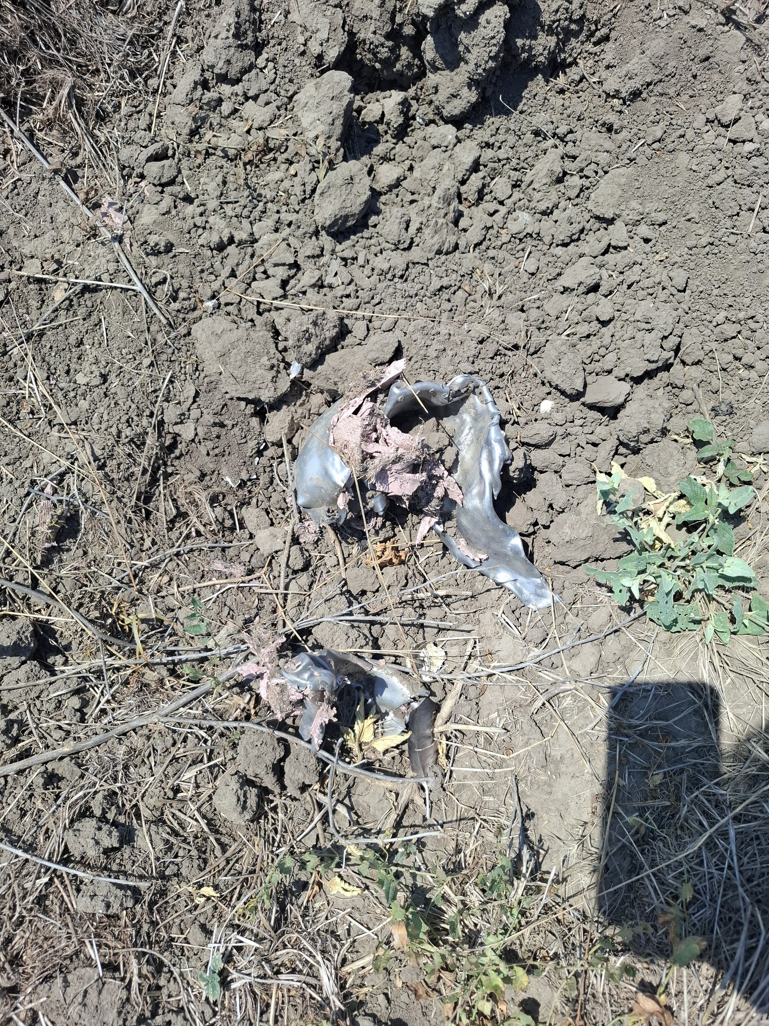 У нацпарку на півдні Одещини війна залишила кратери від ракет та вибухонебезпечні предмети