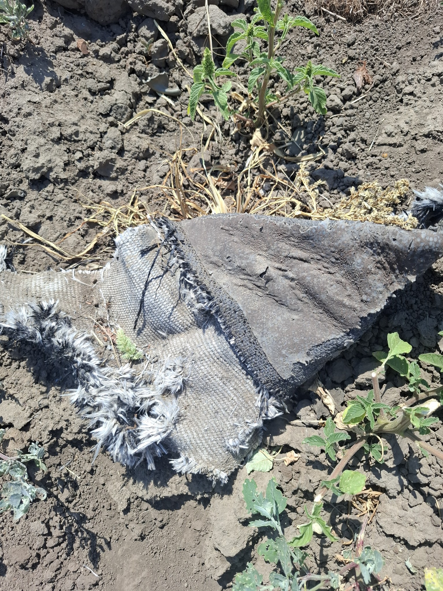 У нацпарку на півдні Одещини війна залишила кратери від ракет та вибухонебезпечні предмети