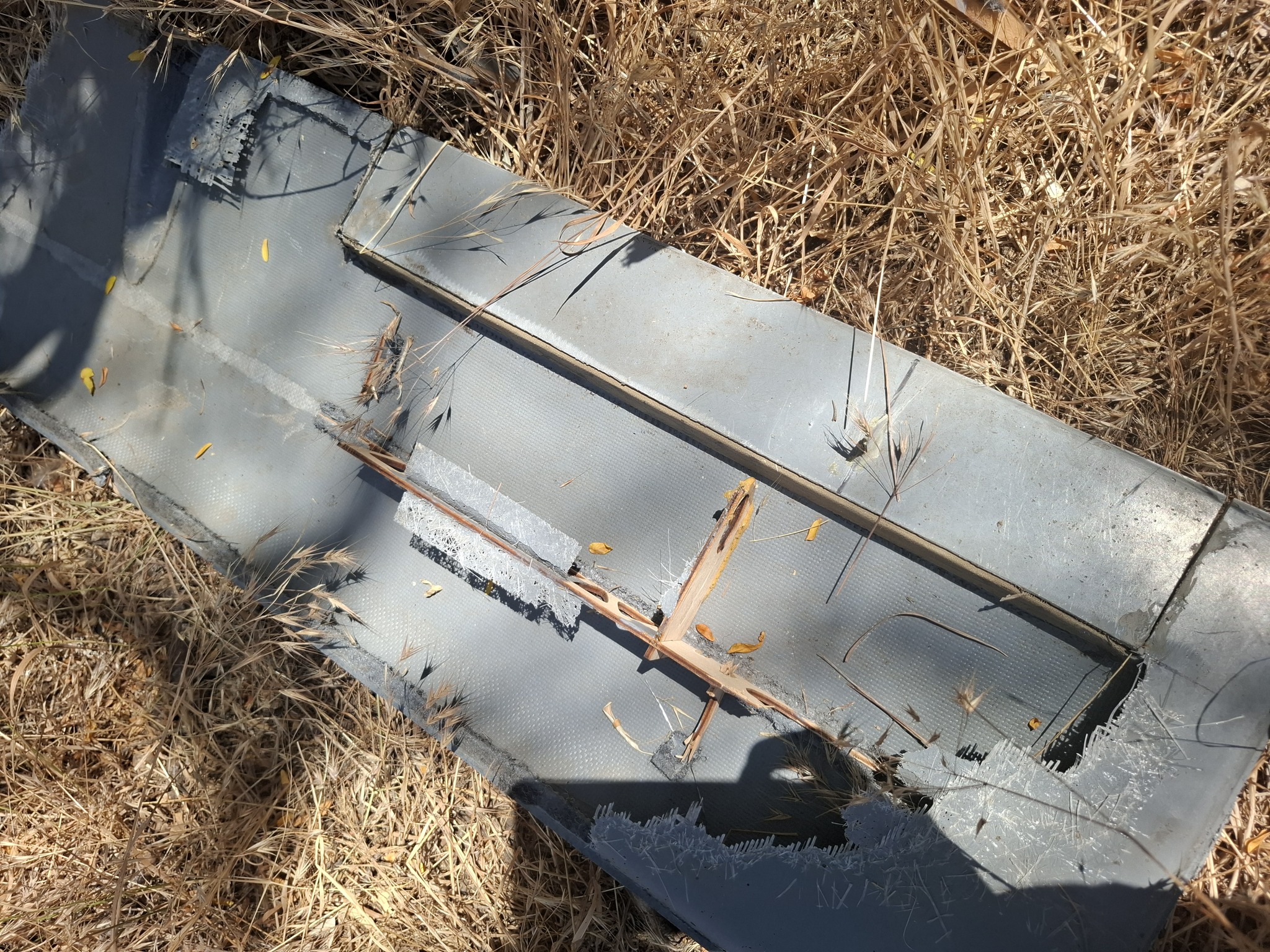 У нацпарку на півдні Одещини війна залишила кратери від ракет та вибухонебезпечні предмети