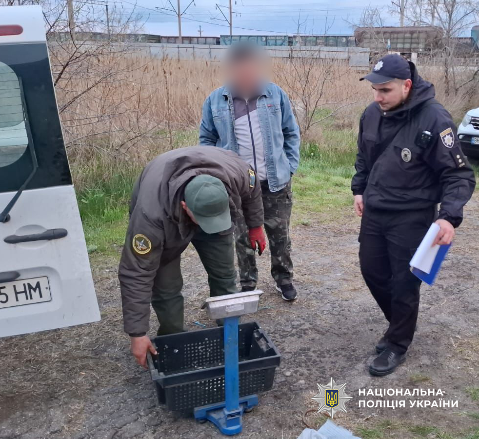 Мешканці Одещини понесуть відповідальність за незаконне зайняття рибним промислом та оборудки з наркотиками
