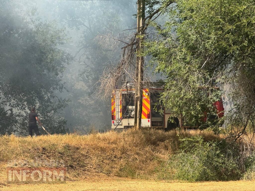 Бессарабія у вогні: сухостій горить повсюди — у ДСНС пояснили причини та розказали, як виявляють паліїв
