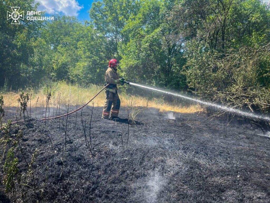 За минулий тиждень вогонь знищив 200 гектарів землі на Одещині