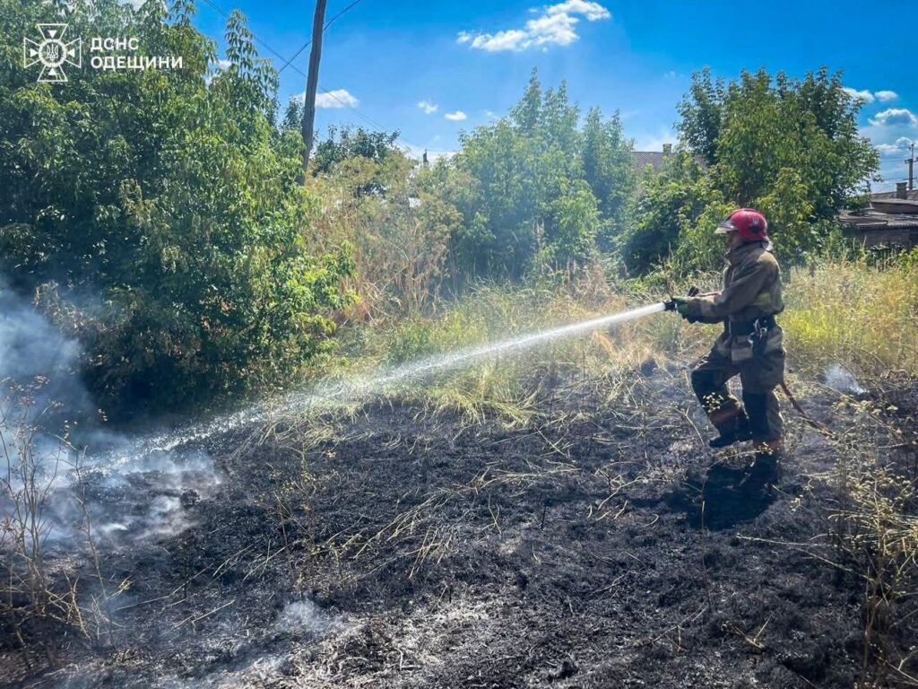 За минулий тиждень вогонь знищив 200 гектарів землі на Одещині