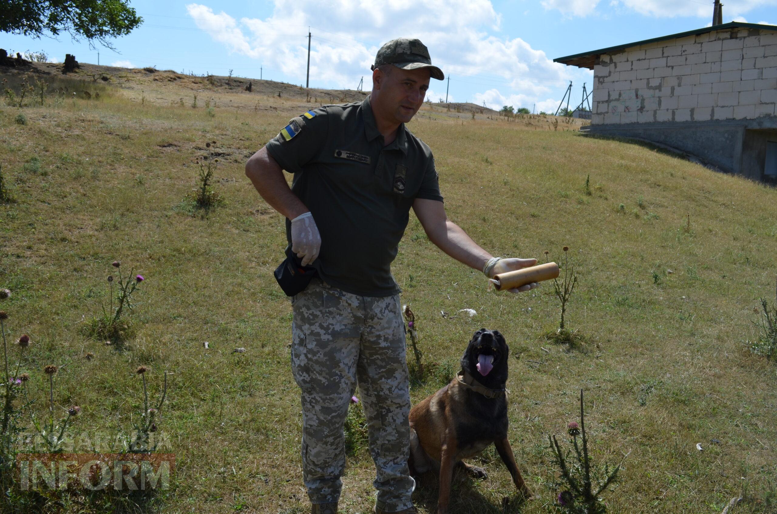 Службовий собака – вірний друг прикордонника: як несуть варту справжні напарники на пункті пропуску Одещини